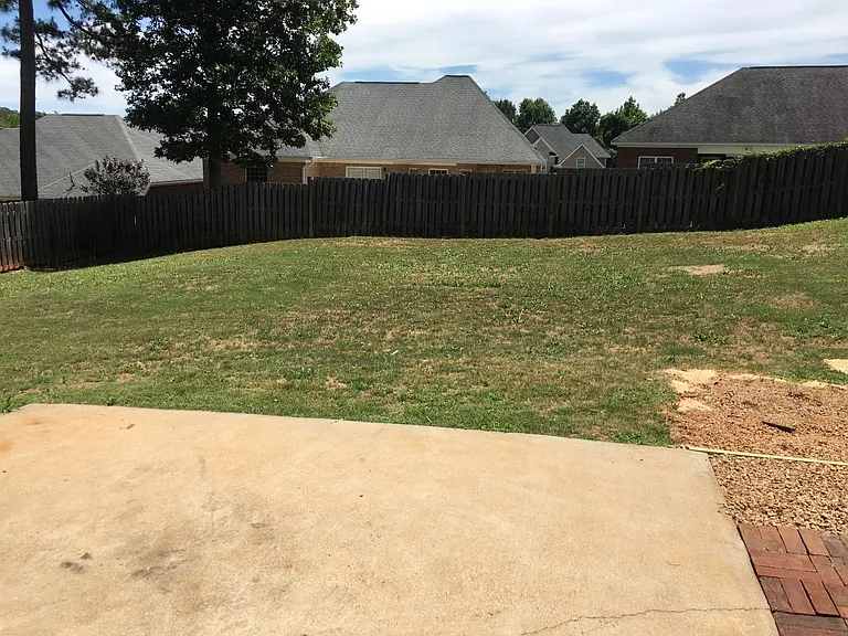 Back yard