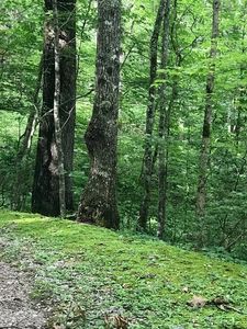 0 Nantahala Trl, Robbinsville, NC, 28771
