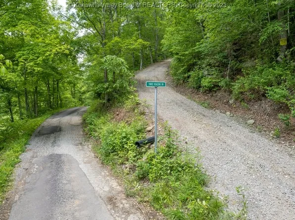 260 Three Reasons Dr, Liberty, WV 25124