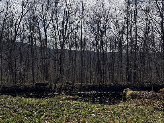 3rd image of 298 Biddle Road