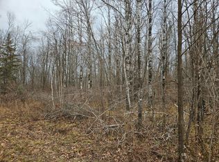 Xxx Rutabaga Rd, Sandstone, MN 55072