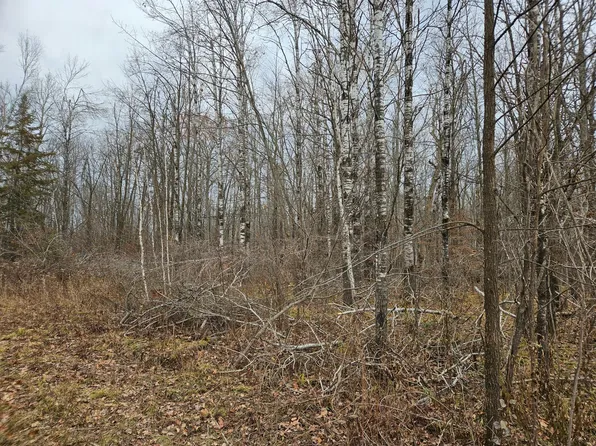 Xxx Rutabaga Rd, Sandstone, MN 55072