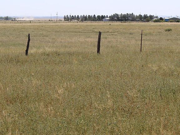 2nd image of 0 Highway 55