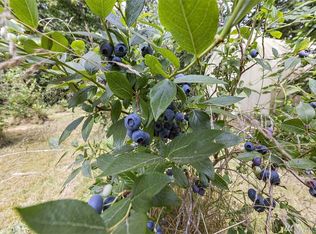 612 Blueberry Ln, Gold Bar, WA 98251