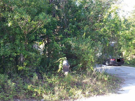3rd image of 1610 Hammock Dr