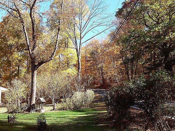 {{AUTUMN BEAUTY TO BEHOLD>>>