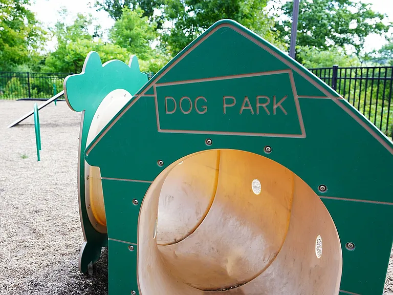 Dog Park