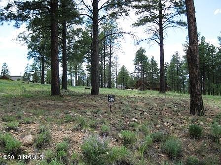 1st image of 1951 E Bare Oak Loop