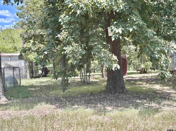 Private Road 52045, Pittsburg, TX 75686