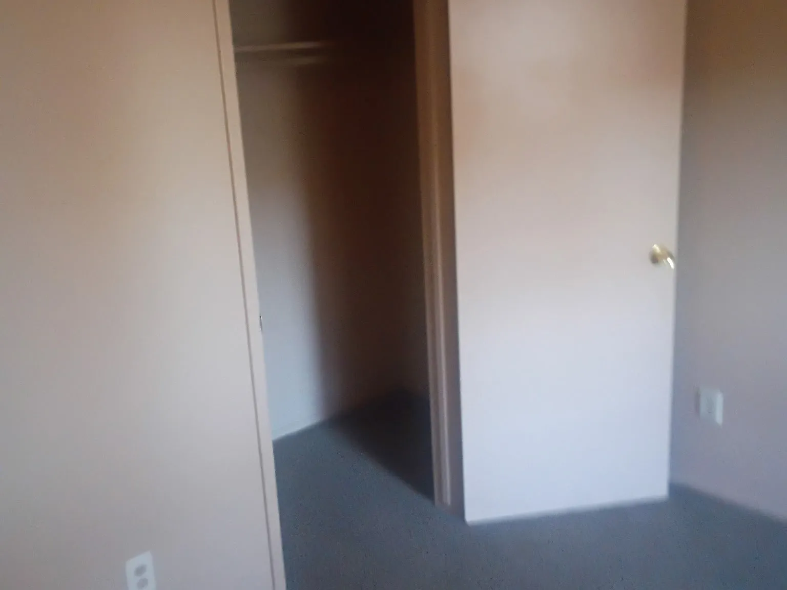3 bed, 1215 sqft, $2,000 — Photo 1