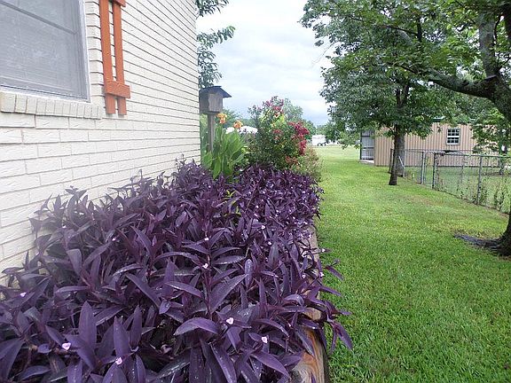 5th image of 102 County Road 3250