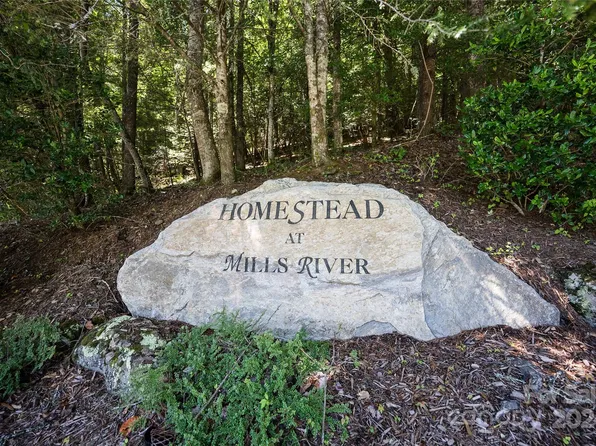 1018 Mills River Way, Horse Shoe, NC 28742
