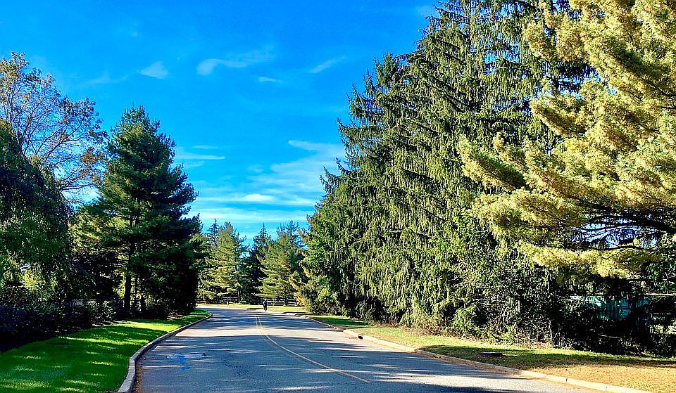 The road home . . . .