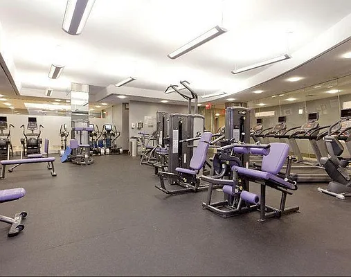 Rented by Nest Seekers International | media 10