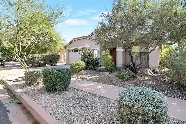 3109 W Via De Pedro Miguel — Photo 23