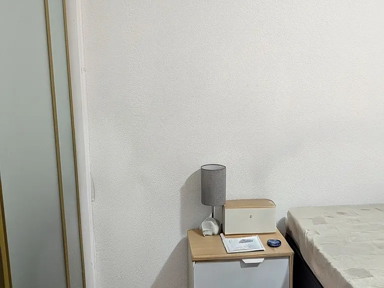 42910 Corte Habana — Photo 27