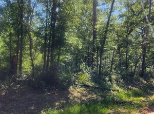 1 Cindy Ln, Shepherd, TX 77371