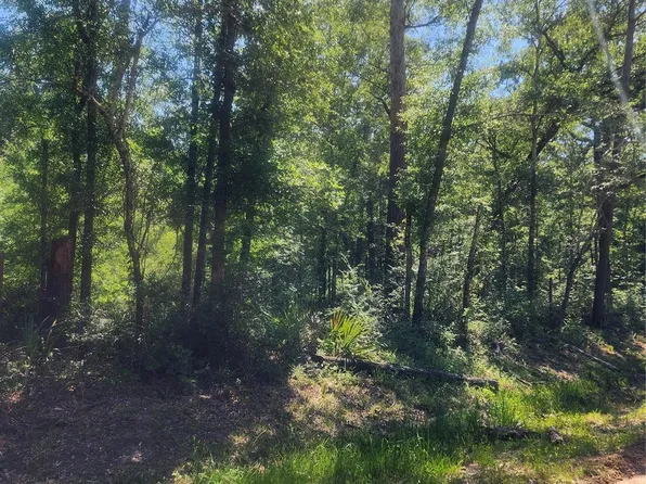 1 Cindy Ln, Shepherd, TX 77371