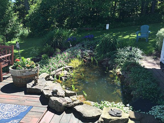Pond effect off family room
