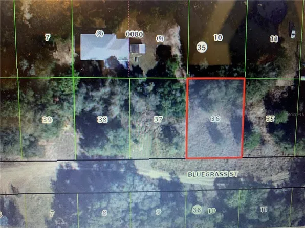 2406 Bluegrass St Lot 36, Inverness, FL 34453