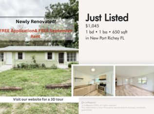 12011 Wanda Ave #1, New Pt Richey, FL 34654