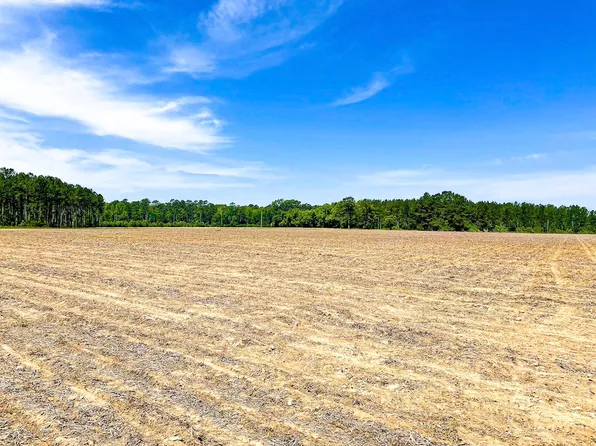 1350 Kingsburg Hwy, Johnsonville, SC 29555