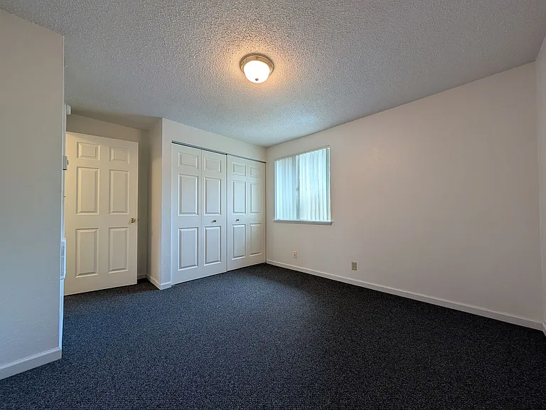4953 Bluebelle Way — Photo 15