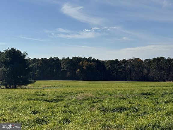 2nd image of 1191 Old Telegraph Rd