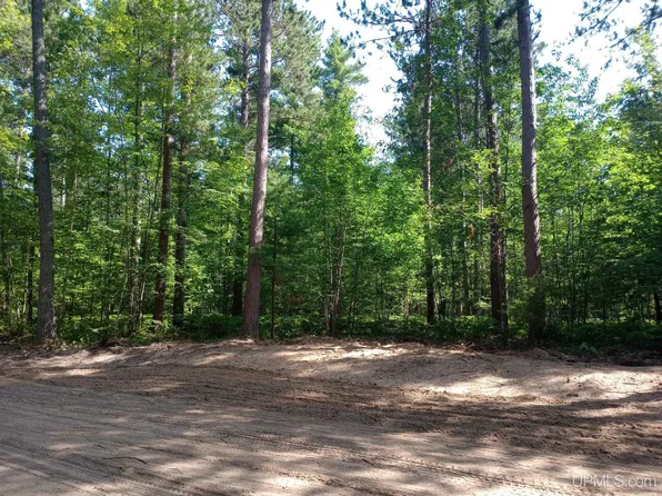 White Pine Lot 5 Way Off Forestville Basin Trl, Marquette, MI 49855