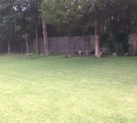Fenced backyard