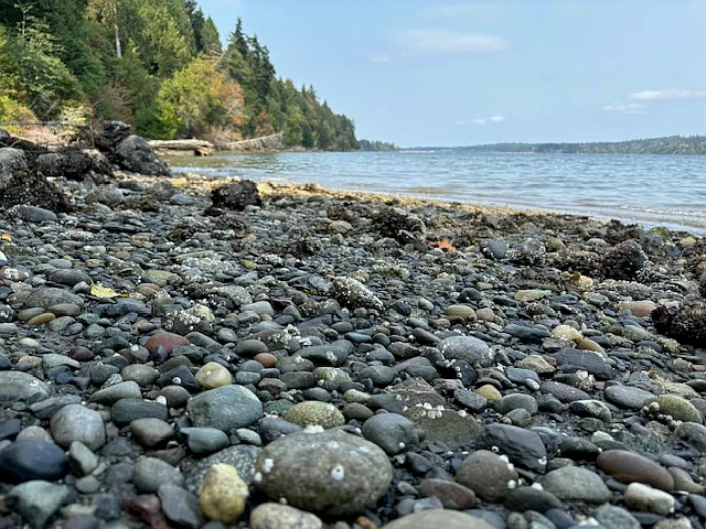 Beach at middle tide