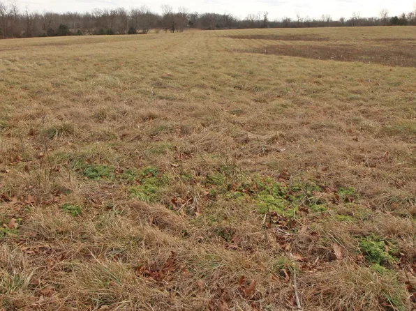 000 County Road 7830, Caulfield, MO 65626