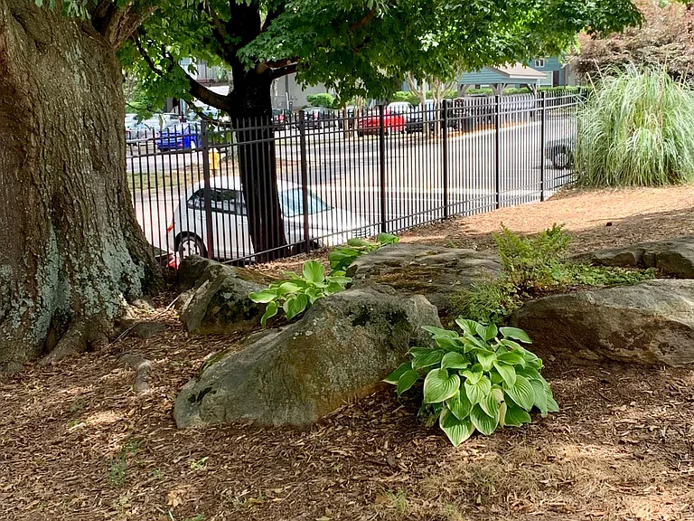 Green space outside rental unit.