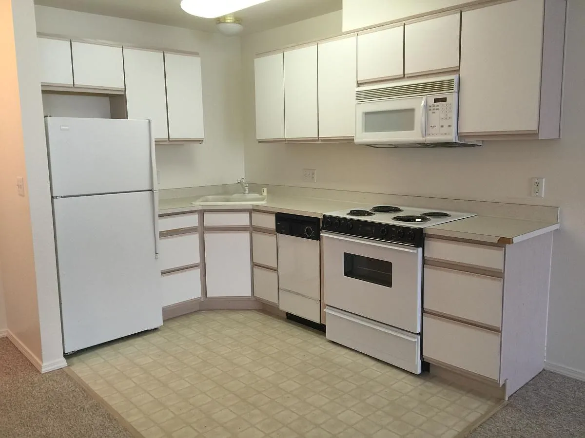 1 bed, 824 sqft, $1,150 — Photo 4