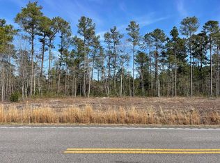 9222 W Highway 19 LOT 1, Loris, SC 29569