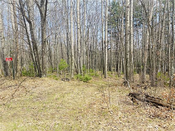 2nd image of N6194 Goose Lake Road
