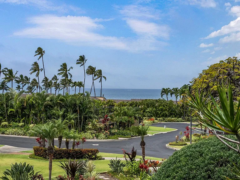 Wailea Alanui Dr — Photo 9