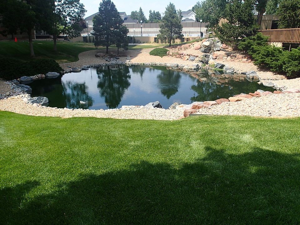 Pond #1