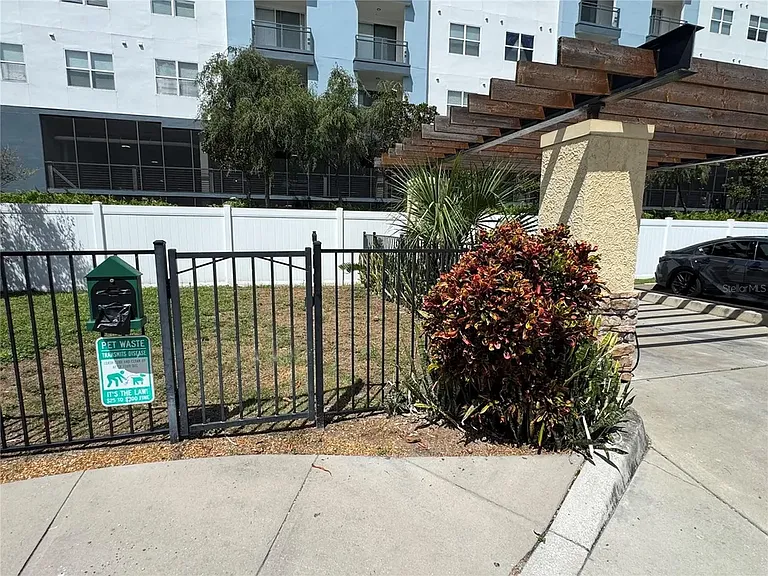 Dog Park area