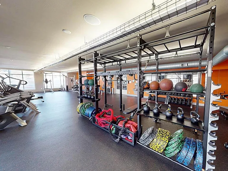 Free Weights