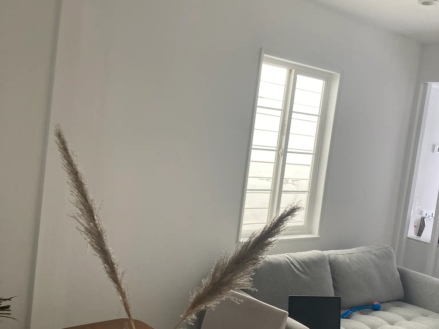 4 bed, 950 sqft, $1,600 — Photo 2