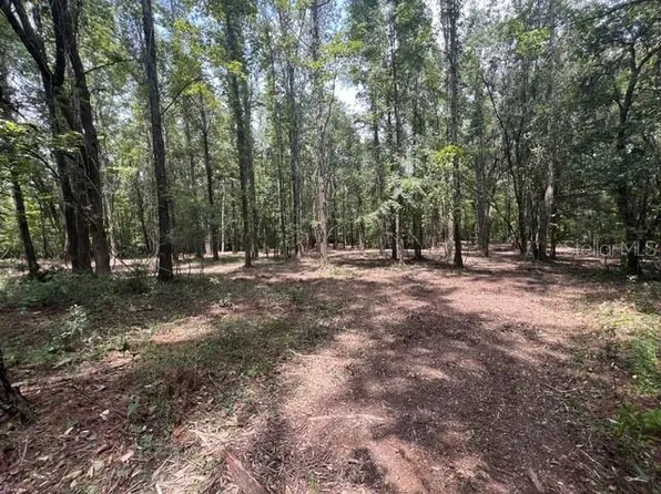 NW 142nd St Lot 11, Williston, FL 32696