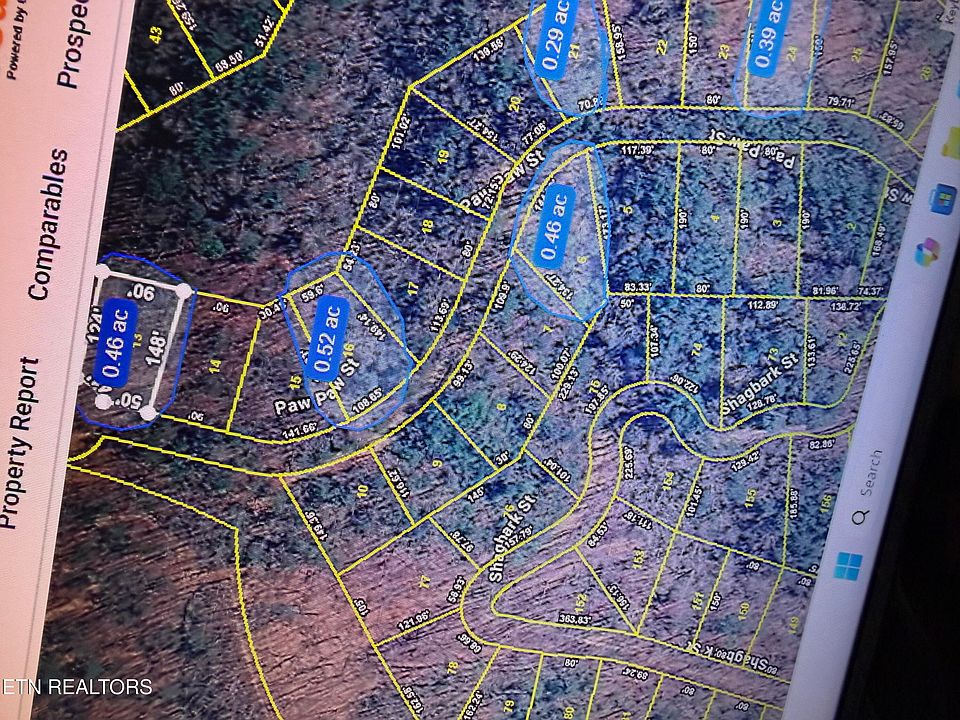 2nd image of Paw Paw St