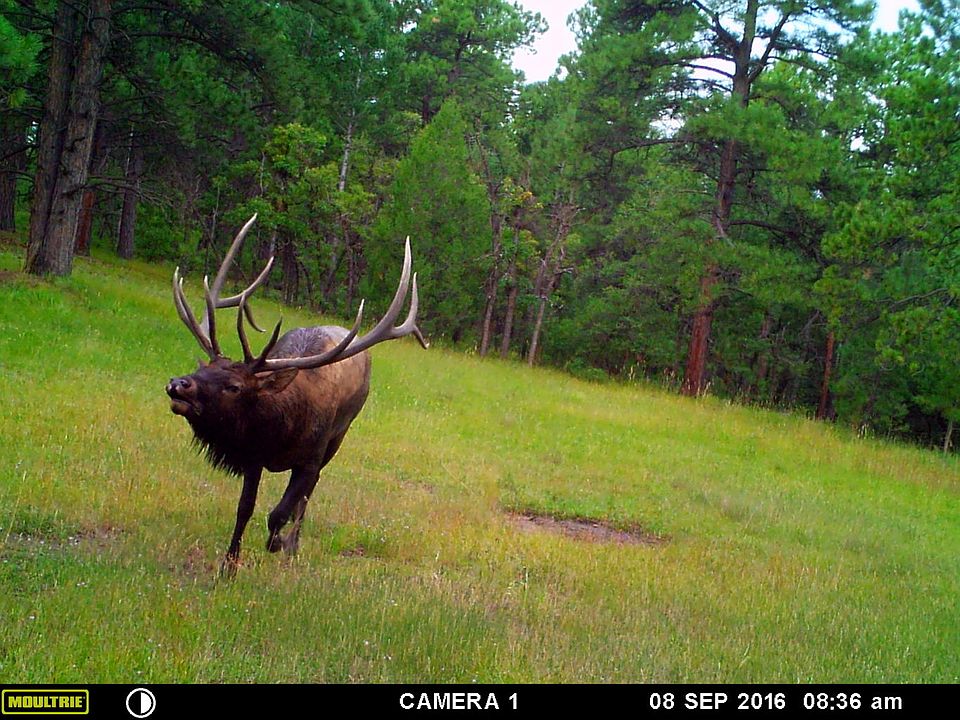 1st image of 160 Acres On County Road 48.8
