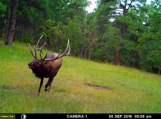 160 Acres On County Road 48.8, Gulnare, CO 80142