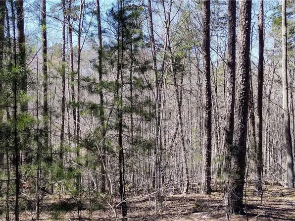 137 Grindstone Dr, Nebo, NC 28761