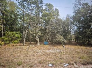120 Lancaster St LOT 28, Interlachen, FL 32148