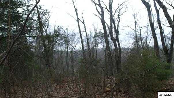 1st image of 310 Woodlark Way