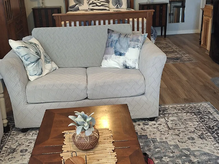 Living room and bedroom View