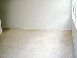2nd image of 12406 Oriole Lake Way
